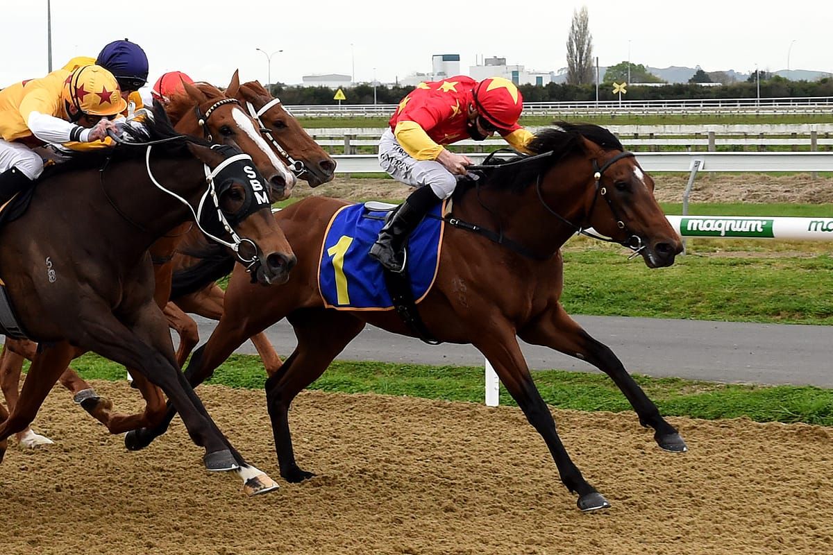 Meritable to fly Guineas flag