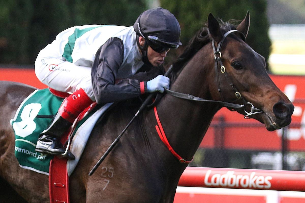 Seymour Cup aim for Mr Brightside