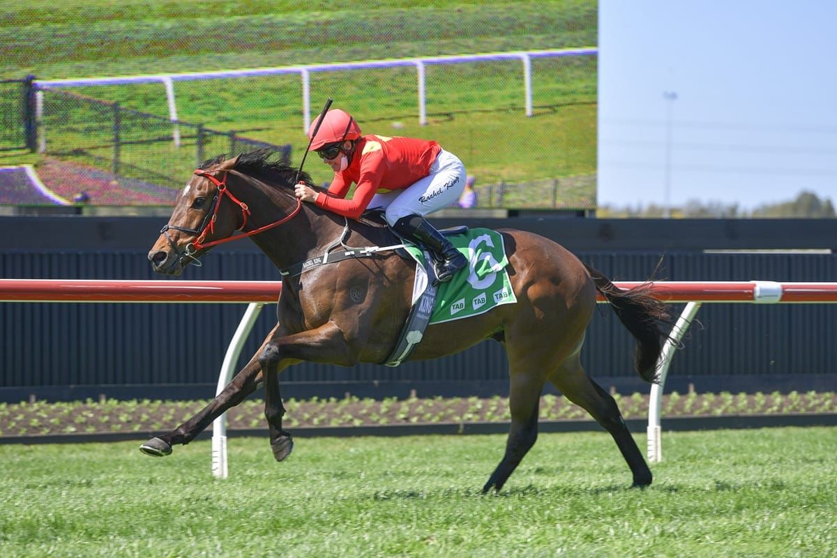 Philipsburg to be set for Country Championships