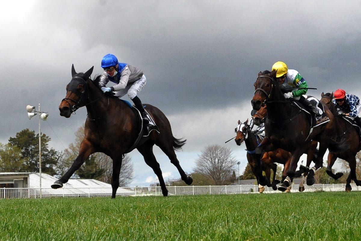 Sakura Blossom sets tongues wagging with sensational Hastings victory