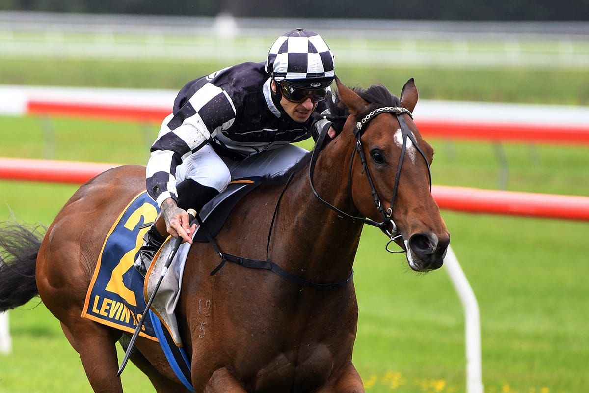 Good fortune shines on Sharrock for Te Rapa feature