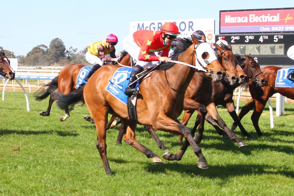 Kiwi flavour to be imposed at Flemington