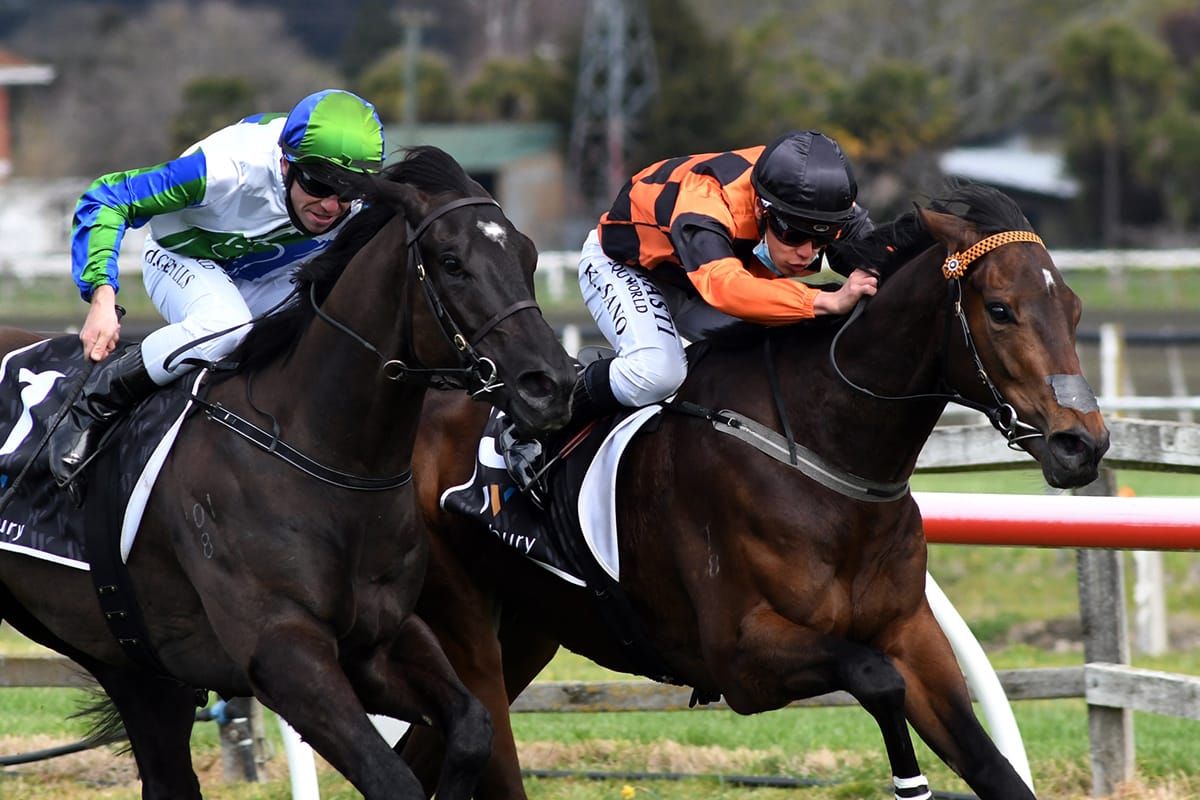 Father and son to square off in Guineas