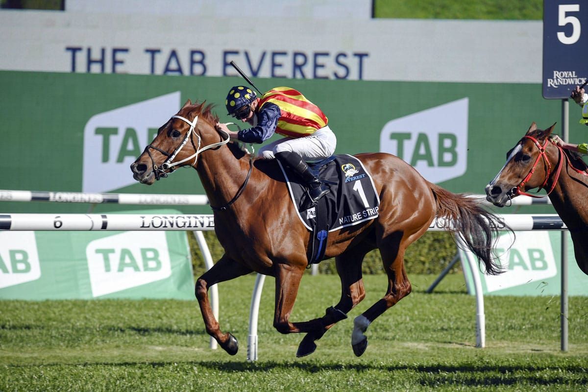 Kiwis join forces to conquer Everest