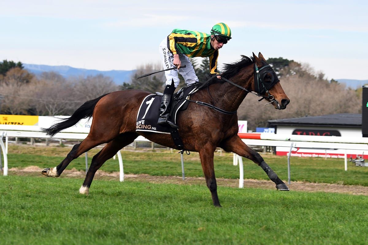 Aigne on trial for The Jericho