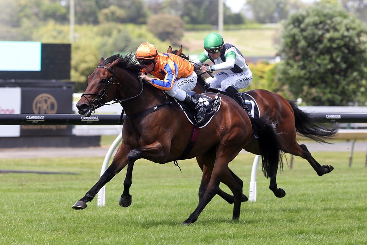 Te Akau tackle Flemington features