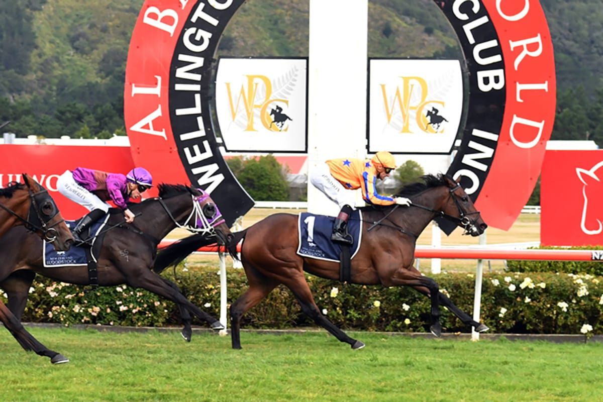 Golden Eagle aspirations put to the sword on Saturday