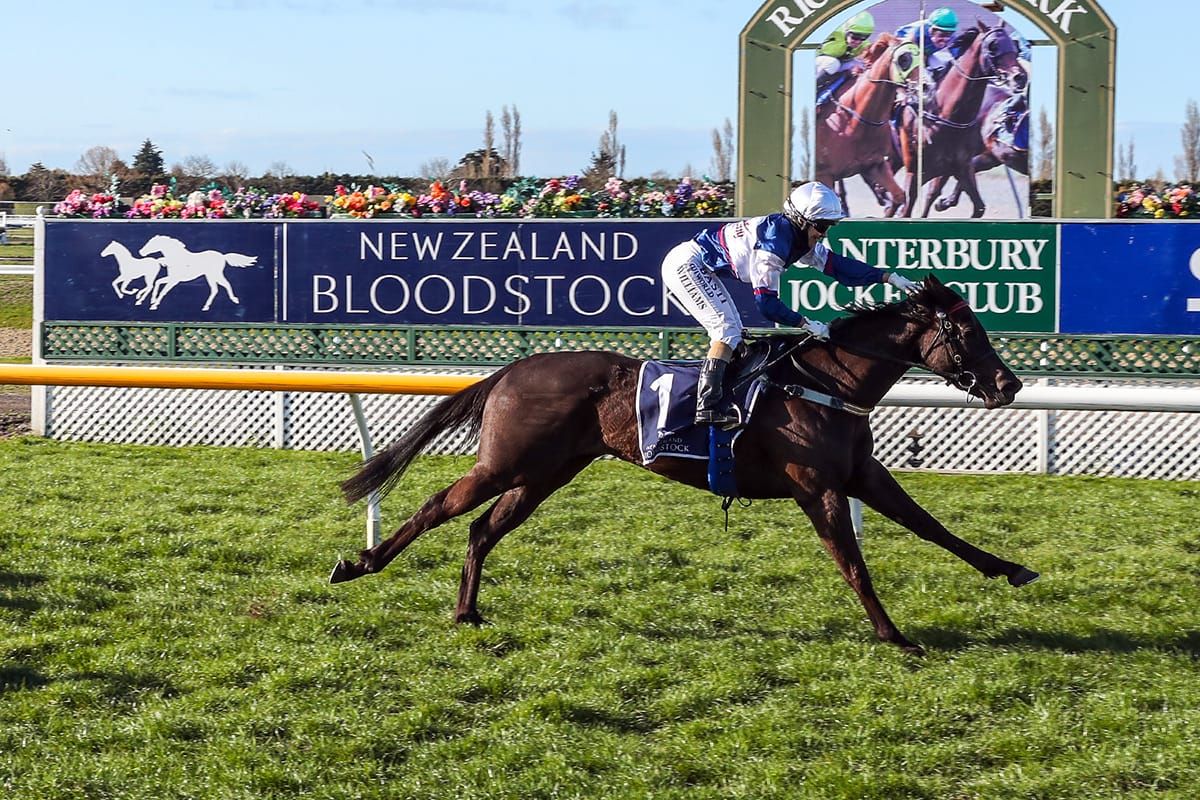 Art De Triomphe taking on the boys