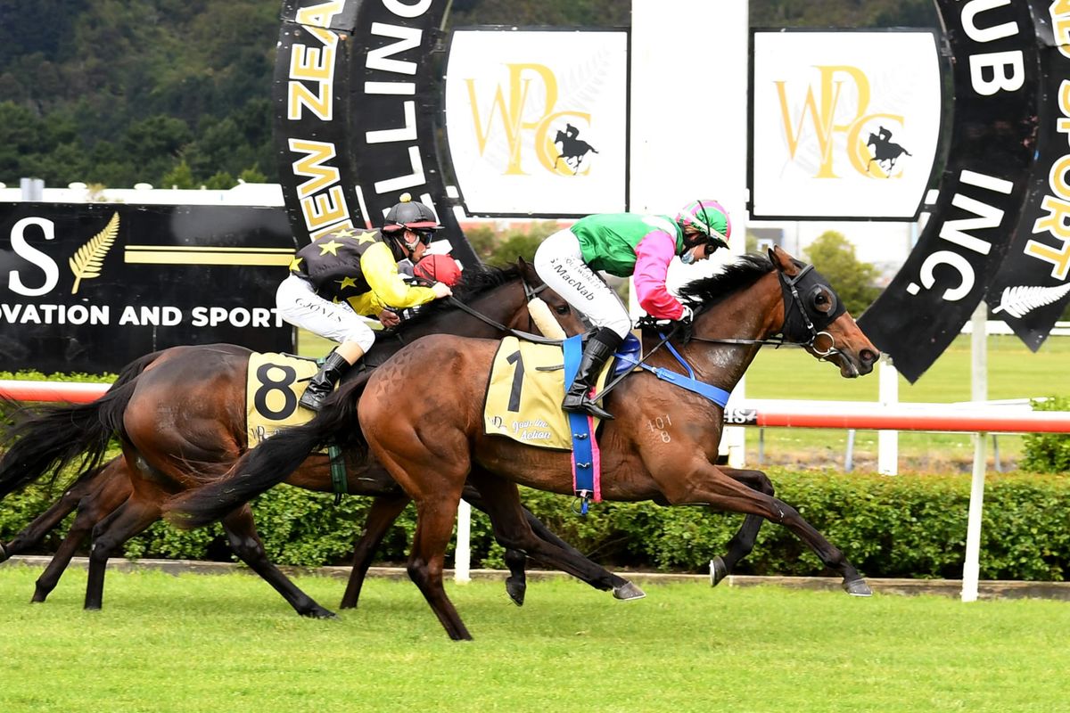 Wellington win fine-tunes game filly for Guineas