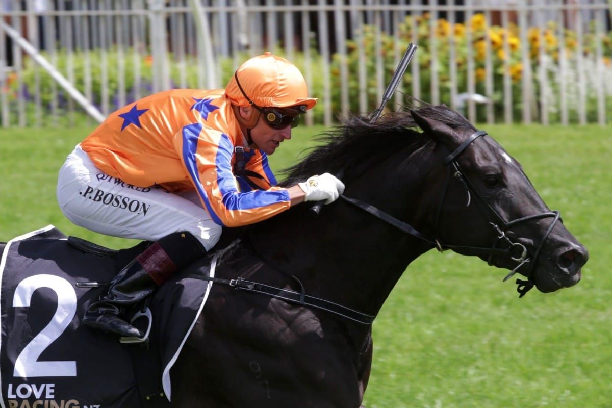 Brando ready for starring role