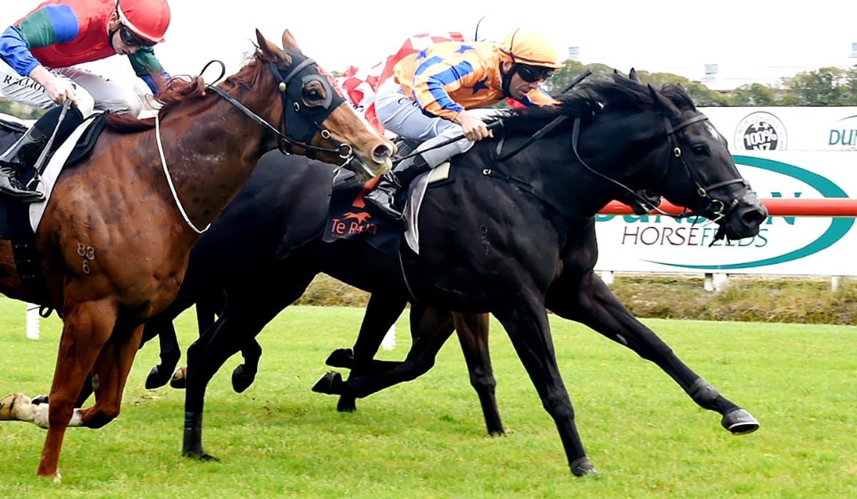 First-up win for Brando