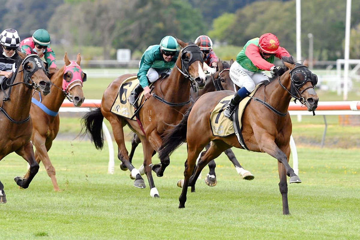 First stakes success for royally bred mare