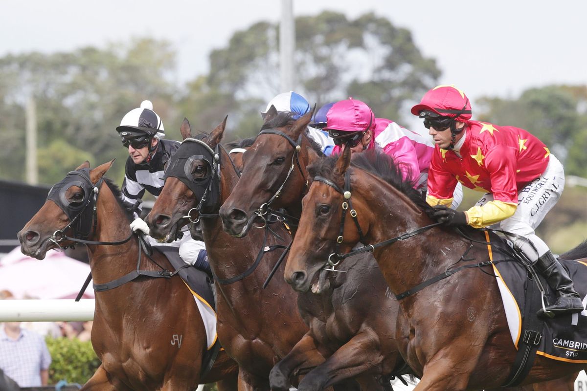 Trainers prize added