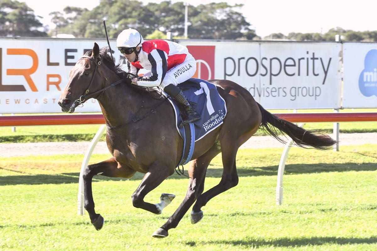 Conservative tactics for Cotehele