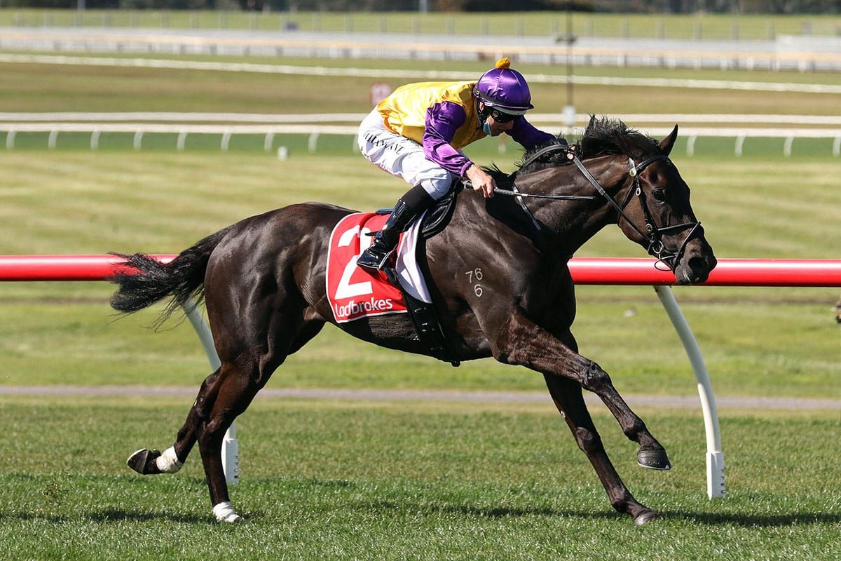 Stablemates go head-to-head in Crystal Mile