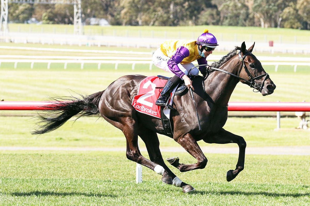 Elephant gets Group One welcome