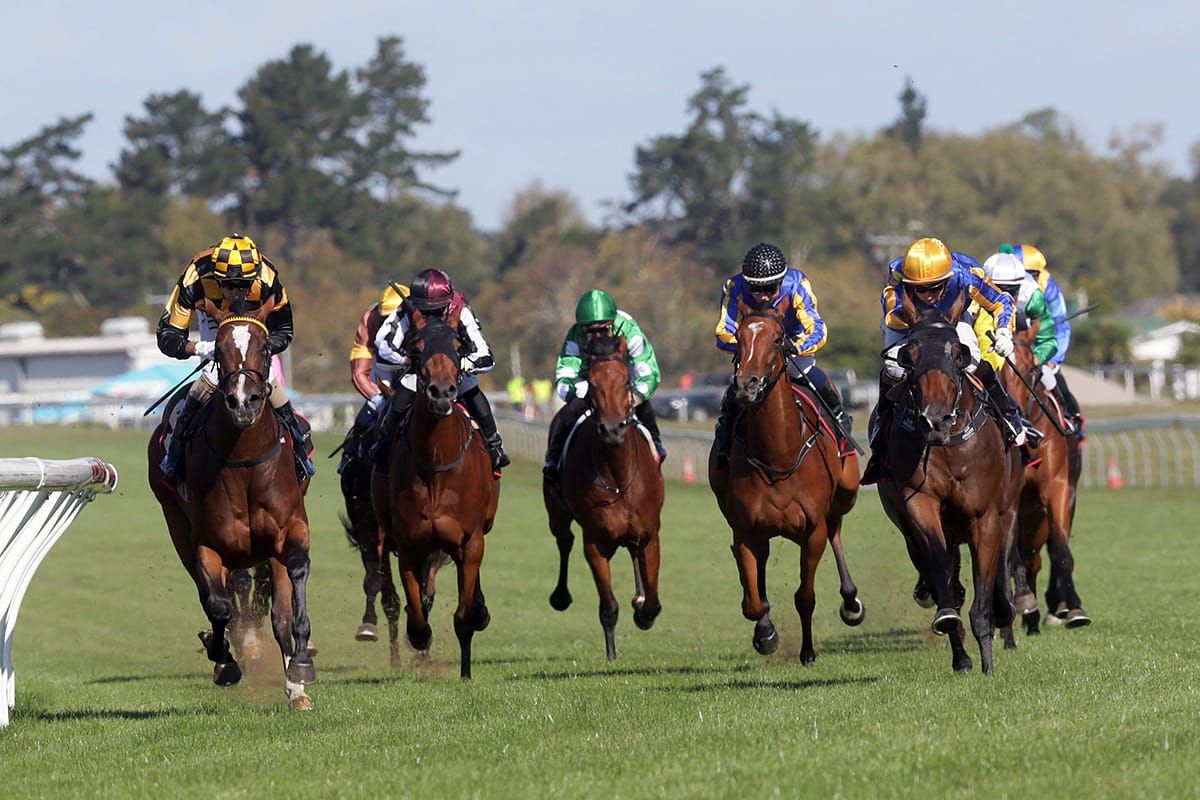 Racing returns to Auckland