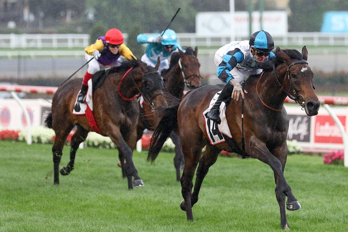 Mascot flies to Group victory at The Valley
