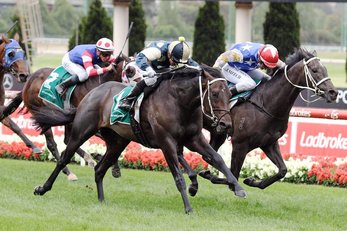 Busuttin-Young Derby contenders thriving