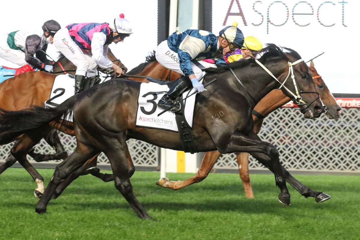 The wetter the better for Forgot You in Guineas