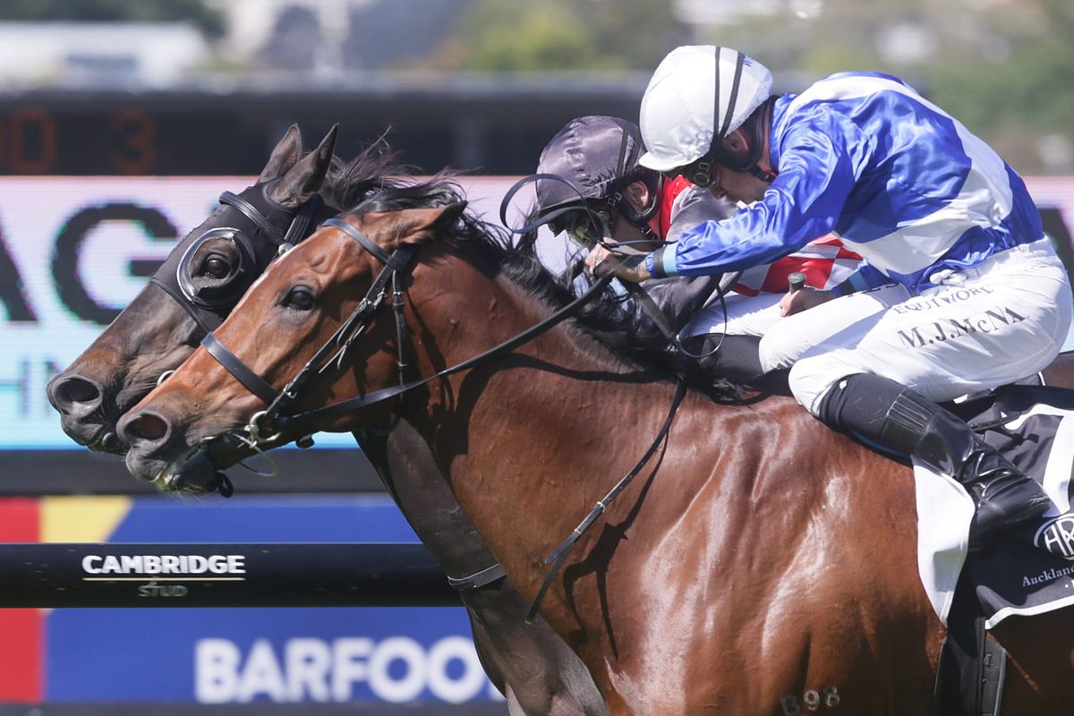 Well-deserved break for Gino Severini