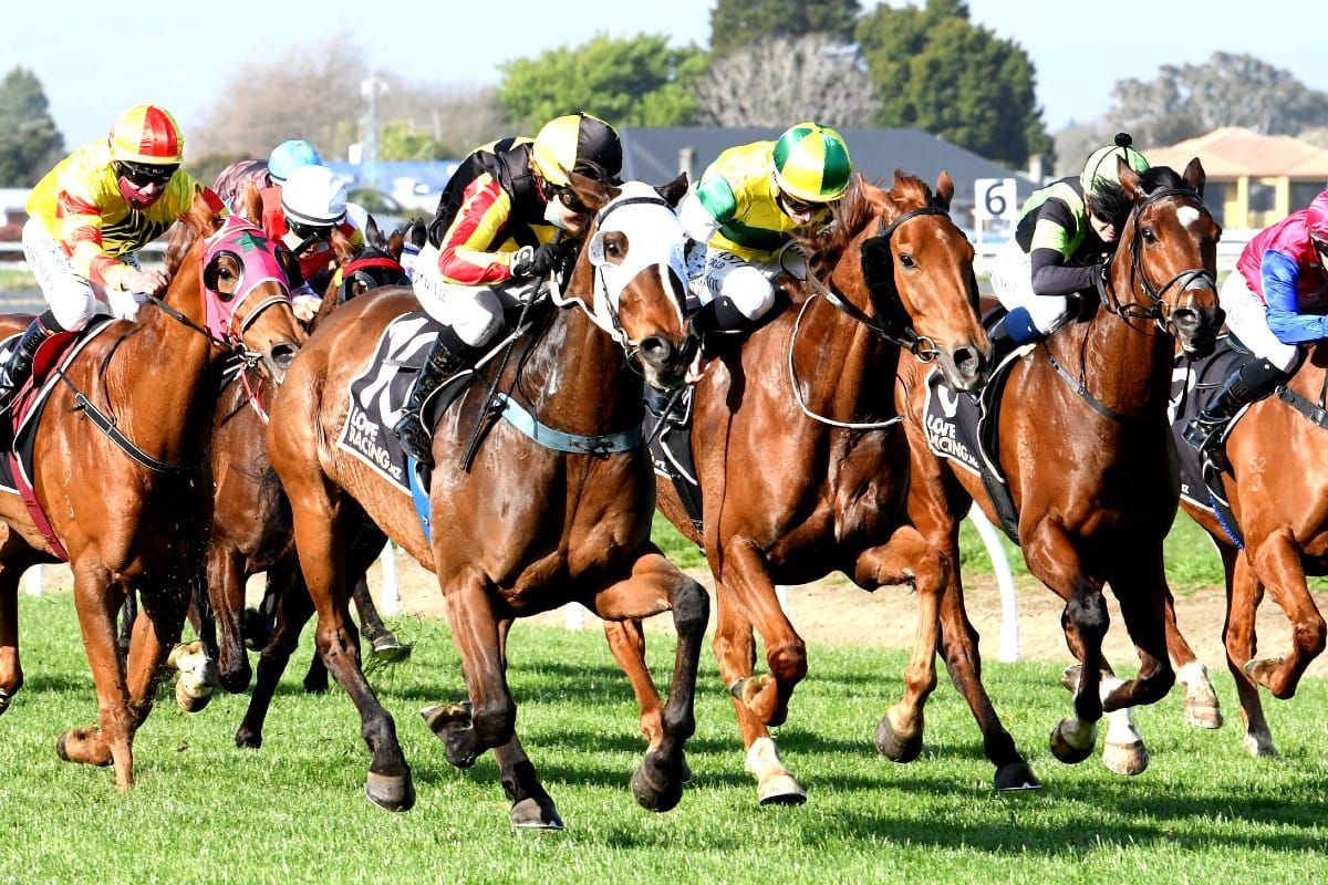 House Of Cartier to Feilding