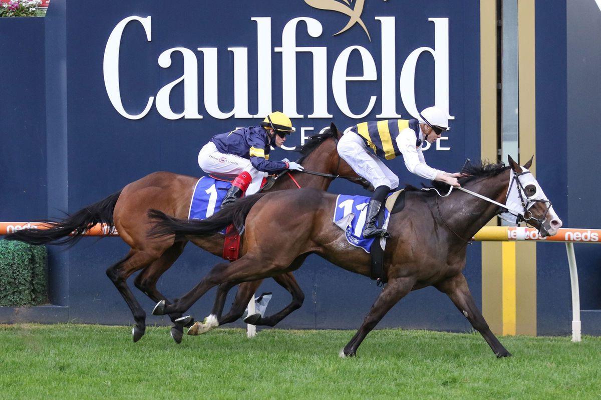 I’m Thunderstruck storms to Toorak victory