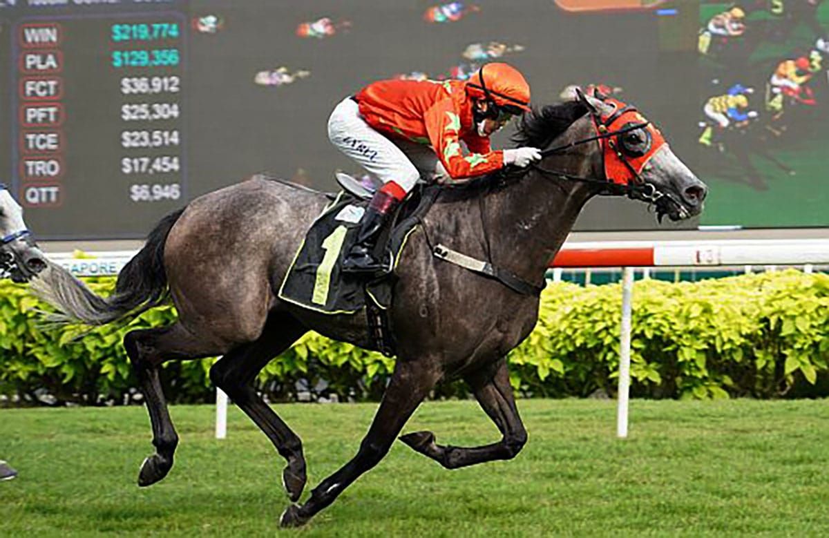 King's Command closer to Gold