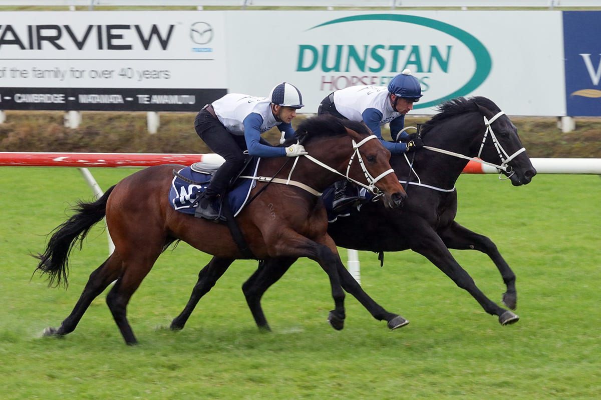 Ready to Run Sale a winning formula for Australian buyers