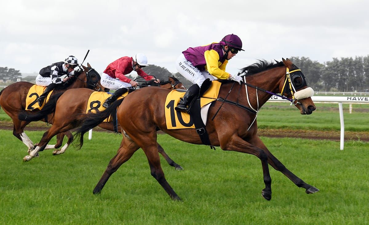 Magic result for Pratt and Hudson at Hawera