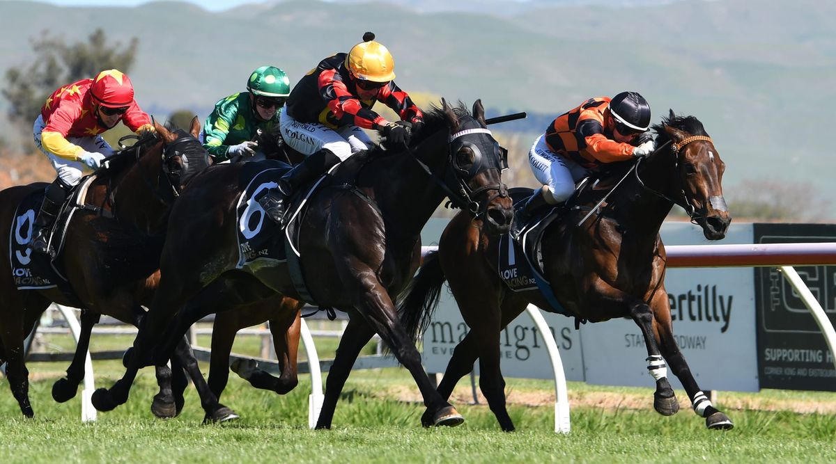 Mana Nui impressive in Hawke’s Bay Guineas