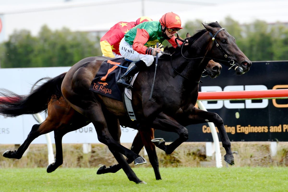 Pareanui Bay hoping to land Eagle