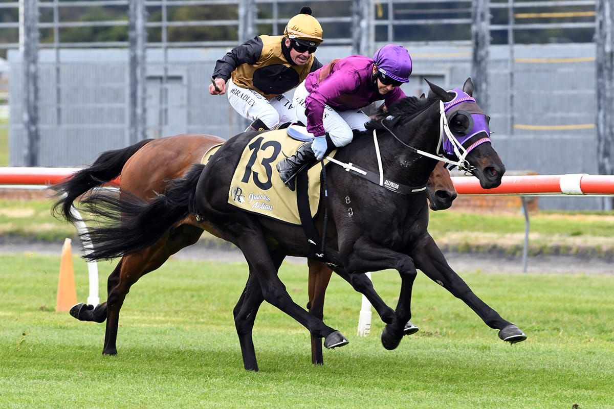 Latta taking a wait and see approach with filly