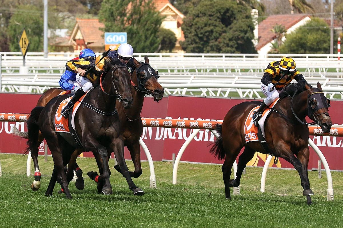 Probabeel peaking ahead of Cox Plate