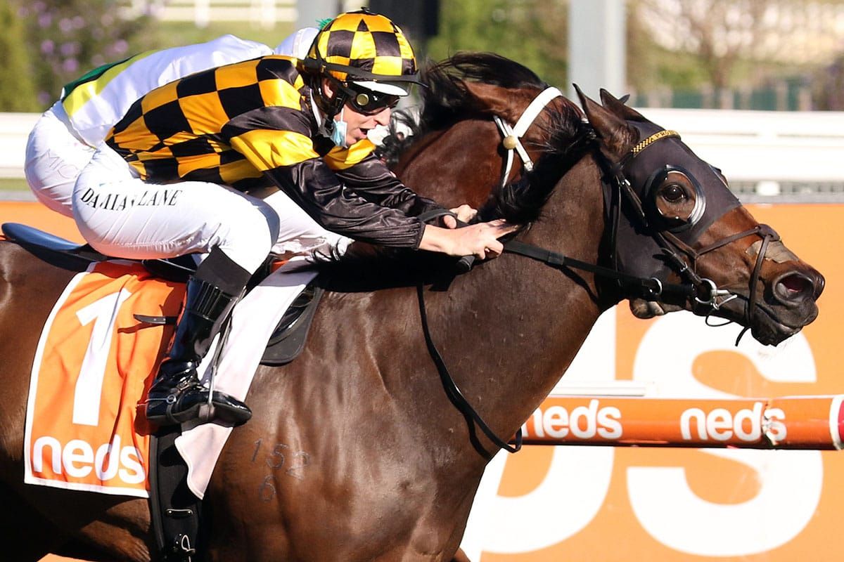 Rain sinks Probabeel at The Valley