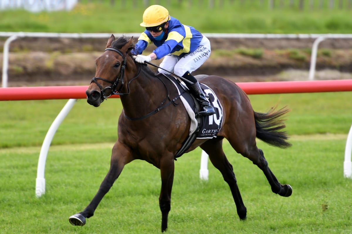 Debutant proves a star at Tauranga
