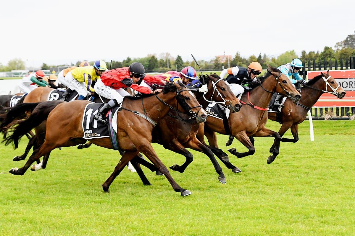 Life is sweet for Clementine at Rotorua