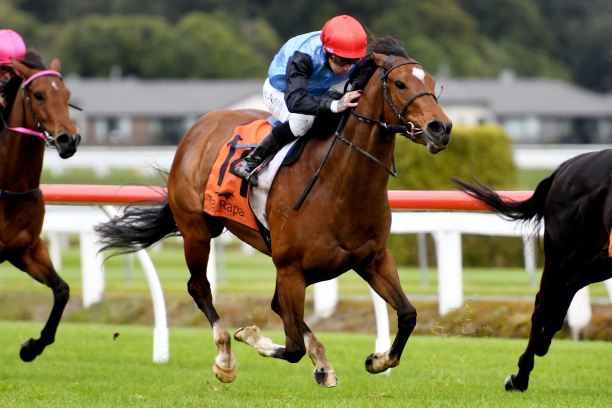 Tevere terrific at Te Rapa