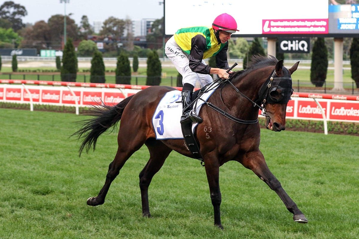 The Chosen One ready for famous Flemington two-miler