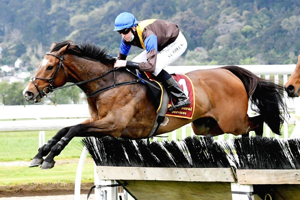 Jumping prizemoney to rise next winter