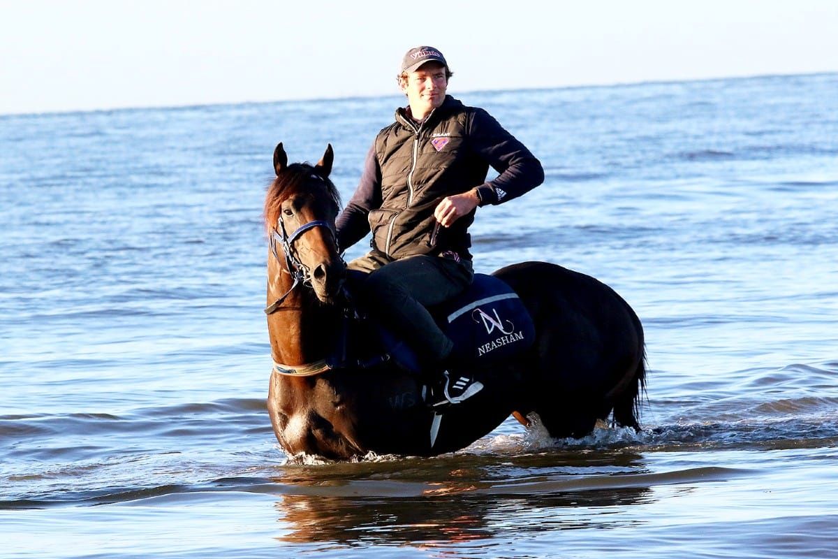 Young Kiwi front and centre of Cox Plate preparations
