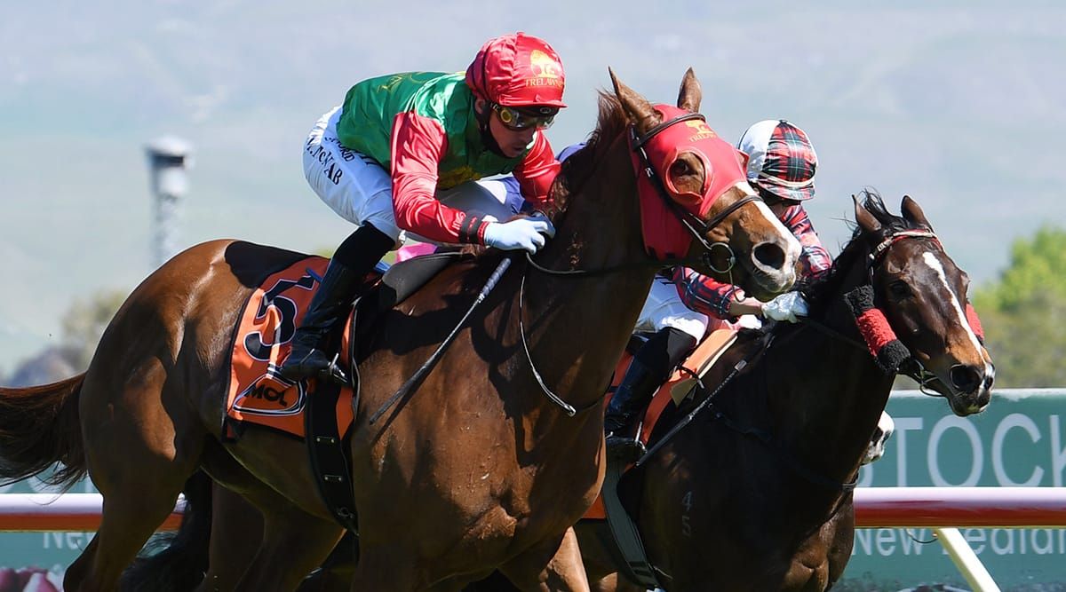 James in search of more Stakes success