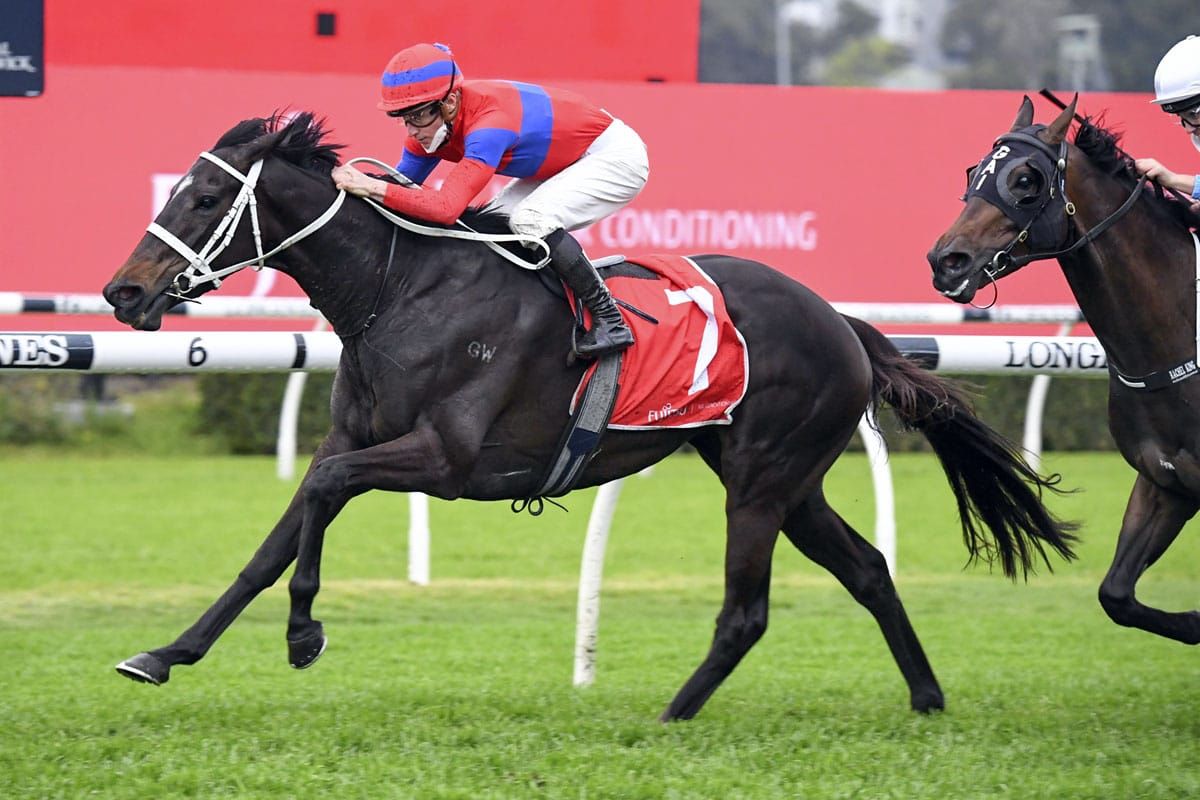 Waller seeks Elleegant confidence boost