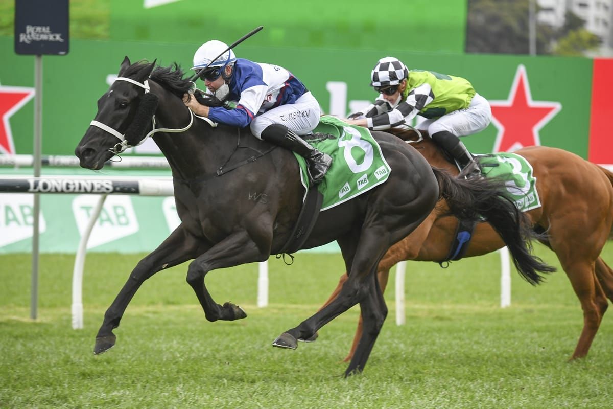Randwick win for well-bred kiwi