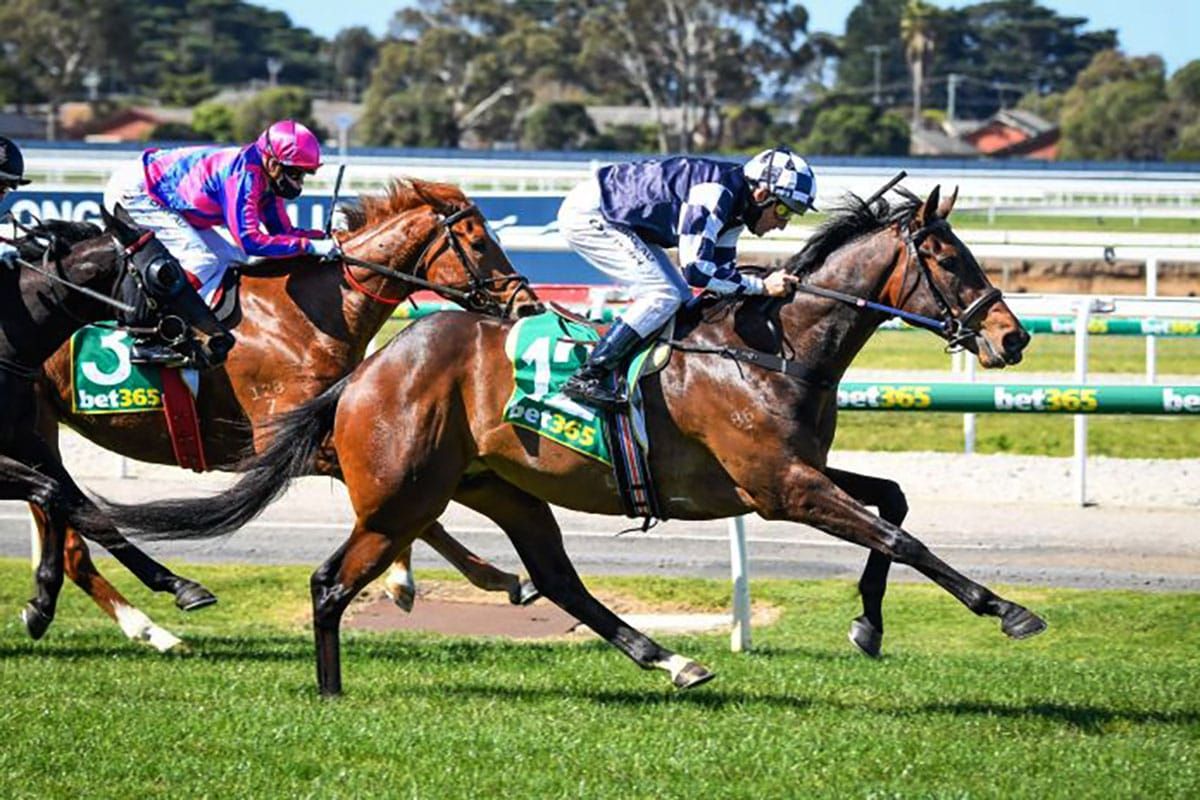 Moor rapt with Young Cups contender
