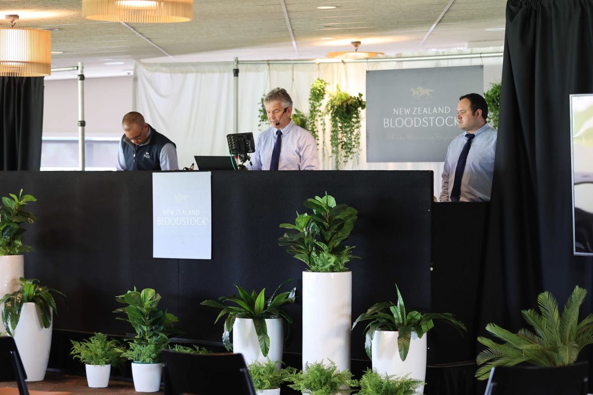 Market Strength Accelerates on Day One of Ready to Run Sale