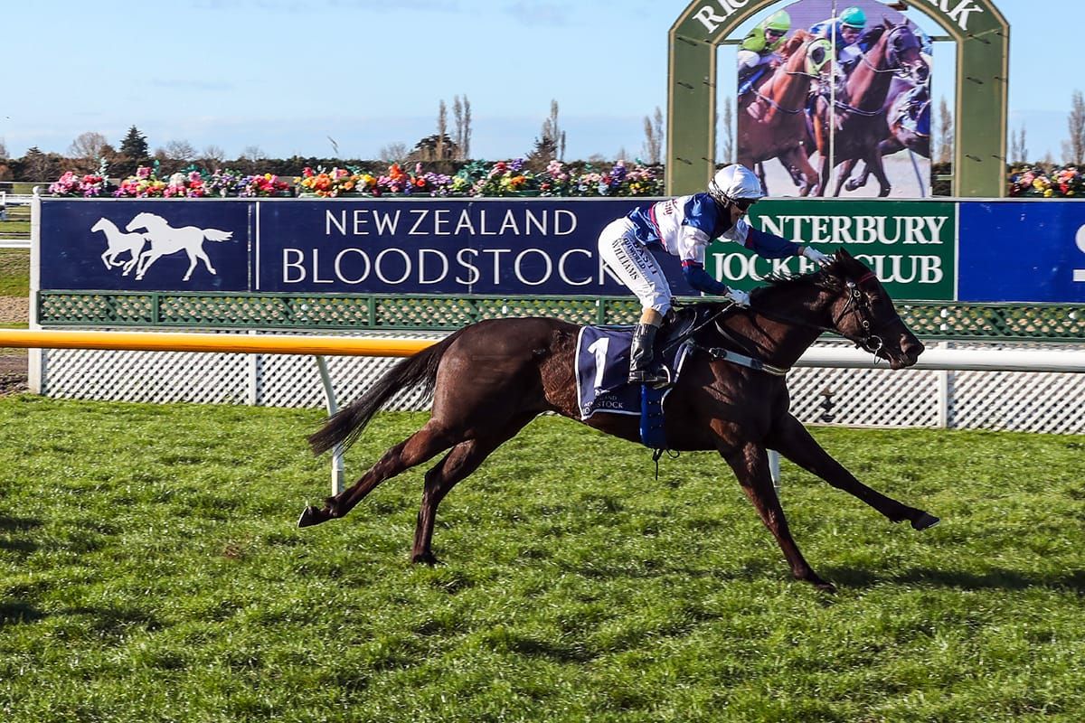 Art De Triomphe out of 1000 Guineas