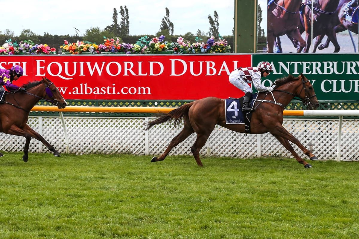 Babylon Berlin too quick in Riccarton dash