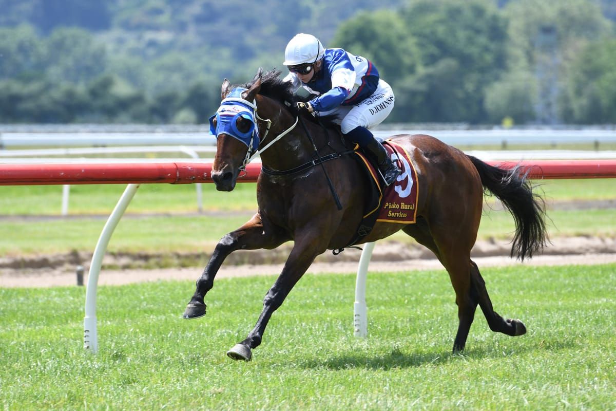Marsh seeking to extend Wellington Stakes run
