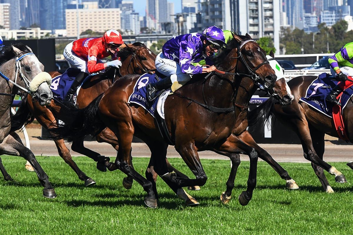 Bermadez lands big prize